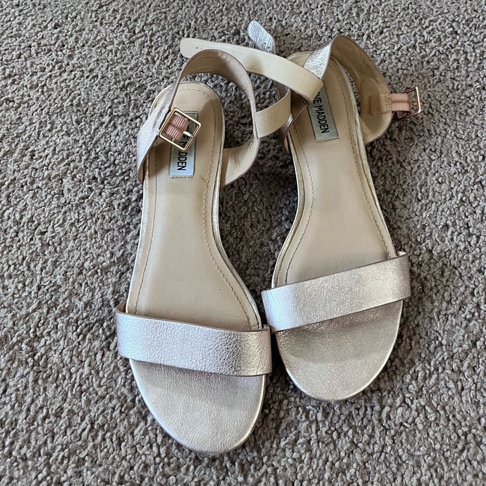Steve madden
